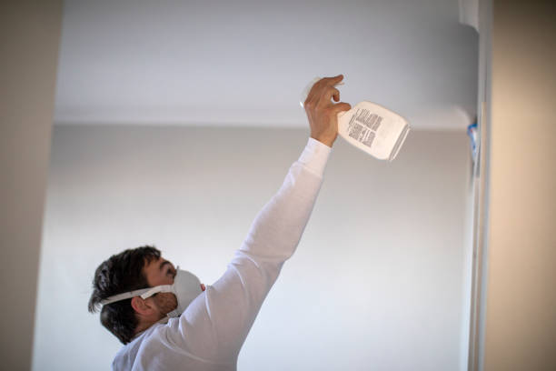 Best Fast Mold Removal  in Waipio Acres, HI